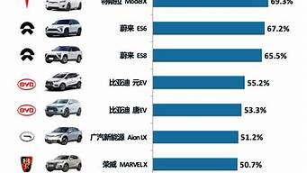 新能源汽车品牌排行榜_新能源汽车品牌排行